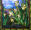 Calthrop03